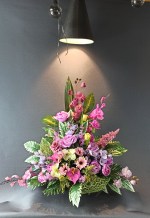 IMG_20220410_162108